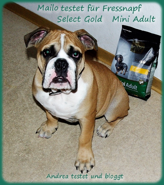Select Gold Mini Adult Hundefutter von Fressnapf  Andrea testet und bloggt